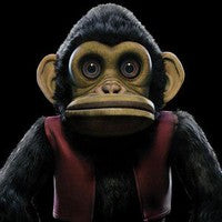 The Monkey on Edo Van Breemen artistin vinyyli LP-levy.