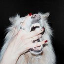Hush on Porch Light bändin vinyyli LP-levy.