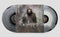 The Evesdroppers on The Evesdroppers bändin vinyyli LP-levy.