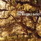 The Invisible Band on Travis bändin vinyyli LP-levy.