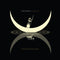 I Am The Moon: II. Ascension on Tedeschi Trucks Band bändin vinyyli LP-levy.
