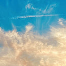 It’S The End Of The World But It’S A Beautiful Day on Thirty Seconds To Mars bändin vinyyli LP-levy.