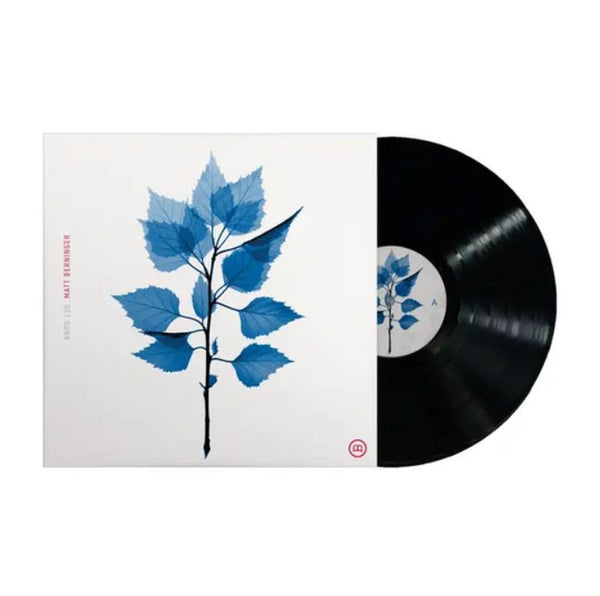 Get Sunk on Matt Berninger artistin vinyyli LP-levy.