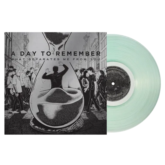 What Separates Me From You on A Day To Remember bändin vinyyli LP-levy.