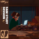 Lofi Girl Presents: 5 A.M. Study Session on V/A vinyyli LP-levy.