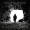 INNERSTANDING on Dhani Harrison artistin vinyyli LP-levy.