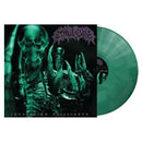 Inveighing Brilliance on Tribal Gaze bändin vinyyli LP-levy.