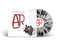 Living Room on AJR bändin vinyyli LP-levy.
