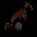 Paradies on Gewalt bändin vinyyli LP-levy.