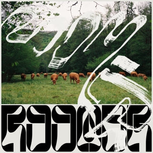 Skice on Roomer bändin vinyyli EP.