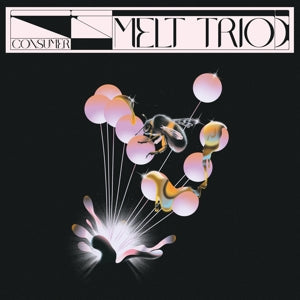 Consumer on Melt Trio bändin vinyyli LP-levy.