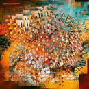 Holding On To Wonder on Magnetic Ghost Orchestra bändin vinyyli LP-levy.