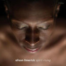 Spirit Rising on Alison Limerick artistin vinyyli LP-levy.