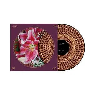 Coles Corner on Richard Hawley artistin vinyyli LP-levy.