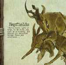 Hayfields on Yaelokre artistin vinyyli LP-levy.