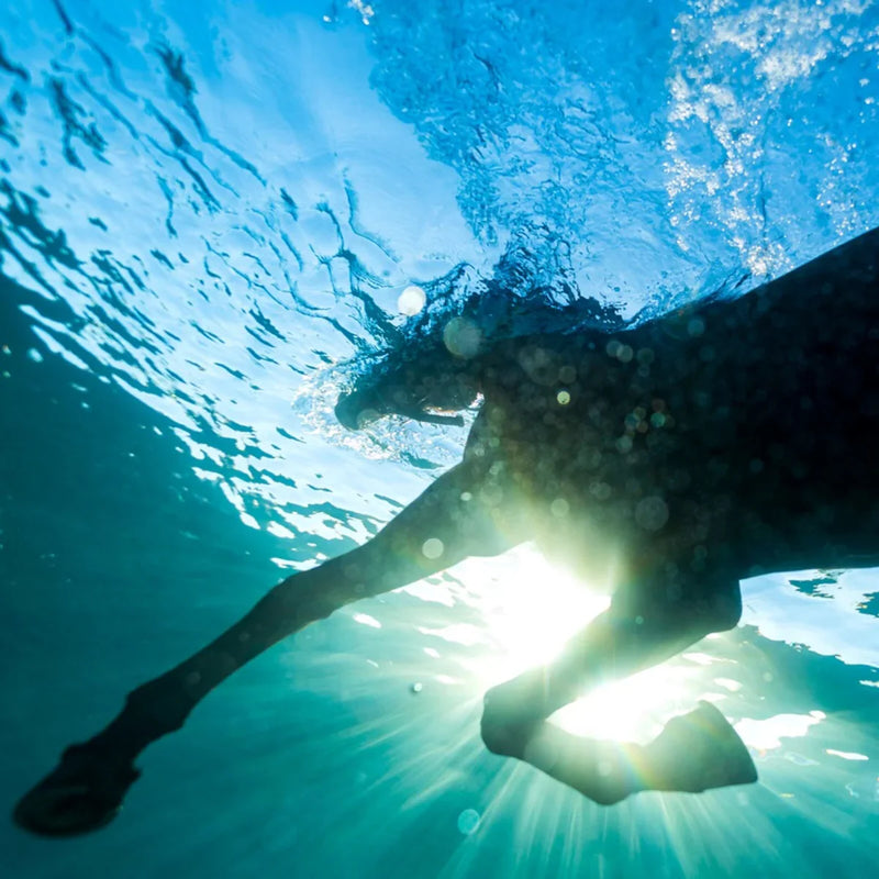 You Wish on Dream Nails bändin vinyyli LP-levy.