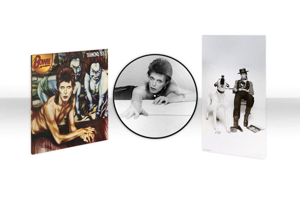 Diamond Dogs on David Bowie artistin vinyyli LP-levy.