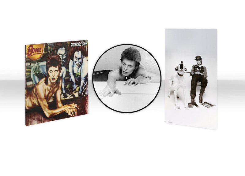 Diamond Dogs on David Bowie artistin vinyyli LP-levy.