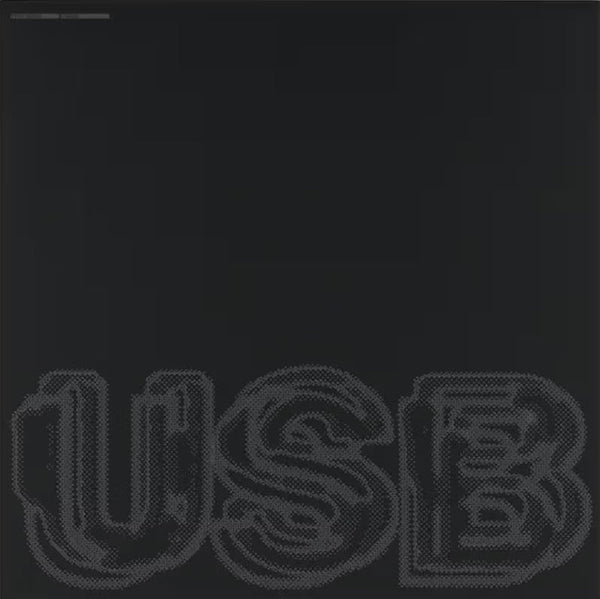 Usb on Fred Again.. artistin vinyyli LP-levy.
