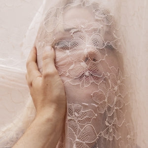 Still Come The Night on Alison Sudol artistin vinyyli LP-levy.