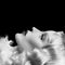 Sleep on Daphne Guinness artistin vinyyli LP-levy.