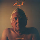 A Sound Heart on Jaubi bänin vinyyli LP-levy.