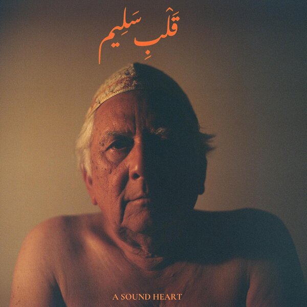 A Sound Heart on Jaubi bänin vinyyli LP-levy.