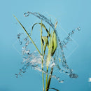 Stream on Fergus Mccreadie artistin vinyyli LP-levy.