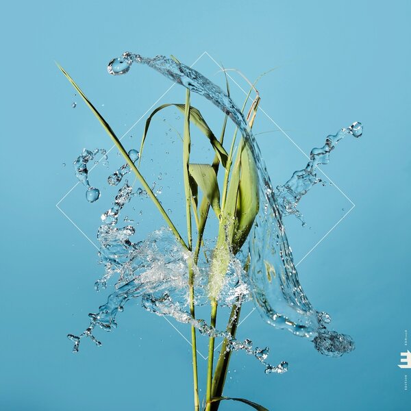 Stream on Fergus Mccreadie artistin vinyyli LP-levy.