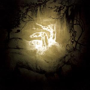 Held On the Tips of Fingers on Polar Bear bändin vinyyli LP-levy.