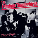 Powerful Stuff on Fabulous Thunderbirds bändin vinyyli LP-levy.