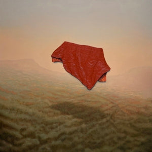 Come With Me And Hide on Mooneye bändin vinyyli LP-levy.