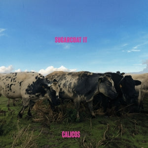 Sugarcoat It on Calicos bändin vinyyli LP-levy.