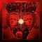 Stoned Statues on Stoned Statues bändin vinyyli LP-levy.