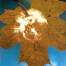 Force Of The Wind on Soyuz bändin vinyyli LP-levy.