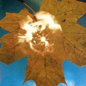 Force Of The Wind on Soyuz bändin vinyyli LP-levy.