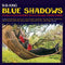 Blue Shadows on B.B. King artistin vinyyli LP-levy.