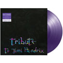 Tribute To Jimi Hendrix on Paul Gilbert artistin vinyyli LP-levy.