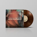 Are We Strong Enough? on Tim Akkerman, The Ivy League bändin vinyyli LP-levy.