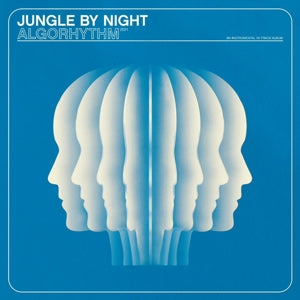 Algorhythm on Jungle By Night bändin vinyyli LP-levy.