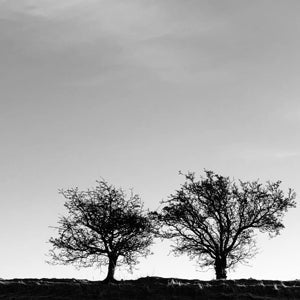 A Heightened Sense Of Everything on Jon Allen artistin vinyyli LP-levy.