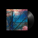 Idlewild on Idlewild bändin vinyyli LP-levy.