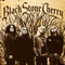 Black Stone Cherry on Black Stone Cherry bändin vinyyli LP-levy.