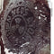 Brainbloodvolume on Ned's Atomic Dustbin bändin vinyyli LP-levy.
