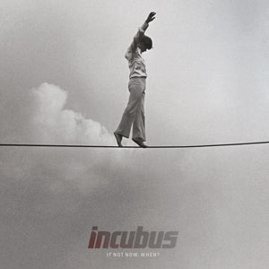 If Not Now, When? on Incubus bändin vinyyli LP-levy.