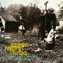 American Standard on Seven Mary Three bändin vinyyli LP-levy.