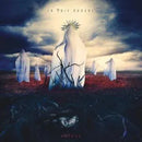 Mother on In This Moment bändin vinyyli LP-levy.
