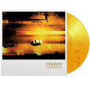 Future Songs on Cranes bändin vinyyli LP-levy.