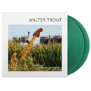 Common Ground on Walter Trout artistin vinyyli LP-levy.