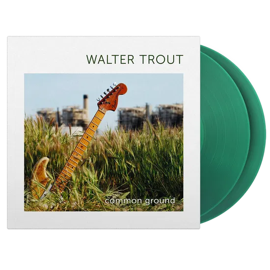 Common Ground on Walter Trout artistin vinyyli LP-levy.